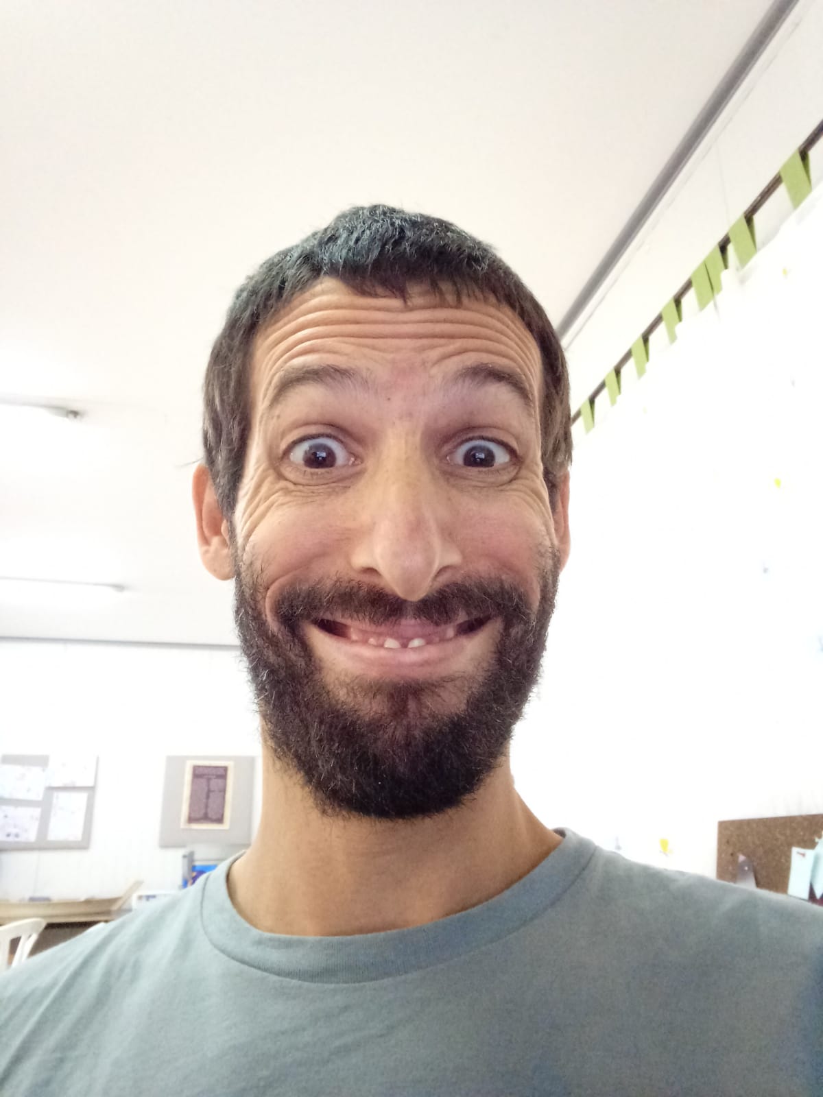 אוריה  טל 