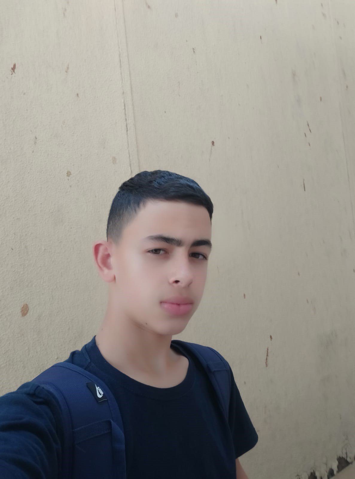 רועי אילון